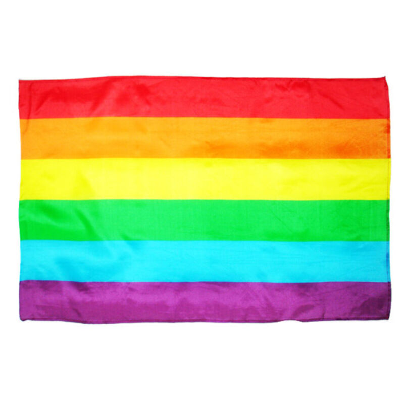 PRIDE – BANDERA MEDIANA LGBT