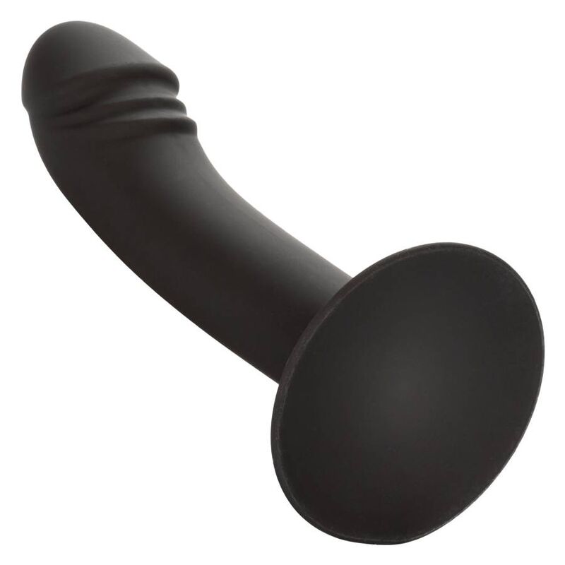 CALEXOTICS – CURVED ANAL STUD