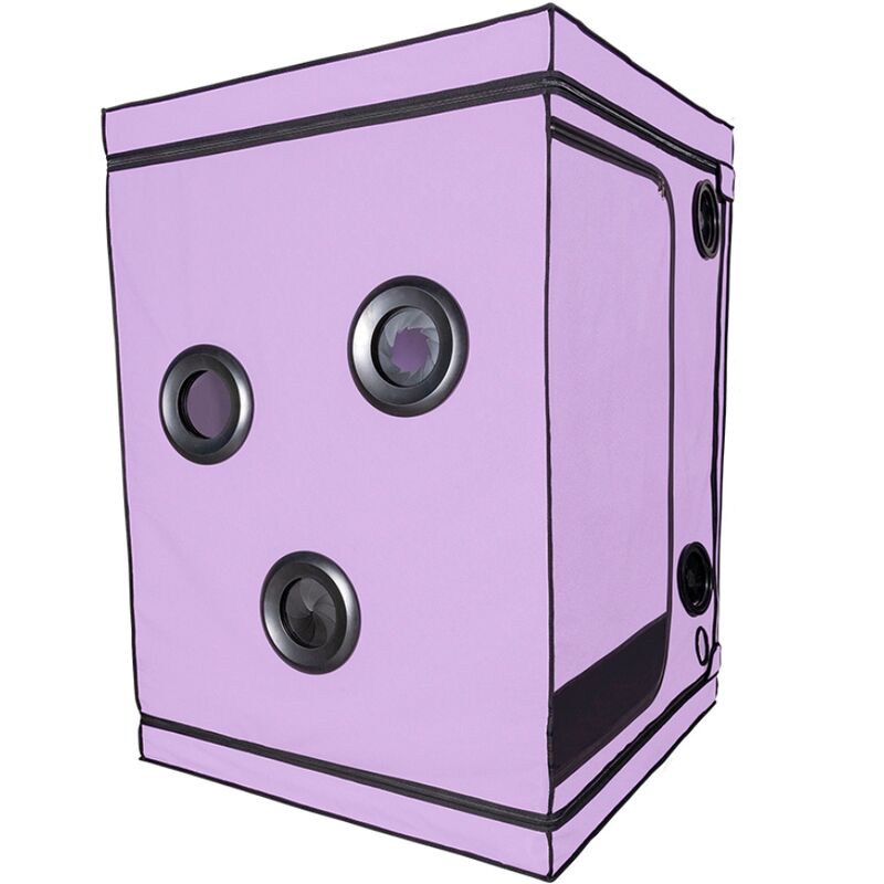 SECRET DOME – KINK CLUB CABINA SCANDALE MORADO