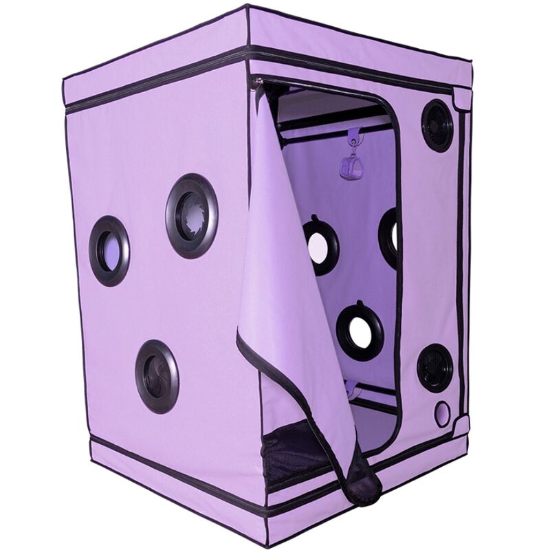 SECRET DOME – KINK CLUB CABINA SCANDALE MORADO