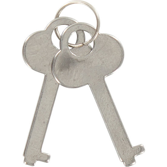TOYJOY – ESPOSAS DE METAL